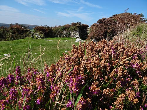 Friedlich liegt Chysauster Ancient Village in den Hügeln von Cornwall.