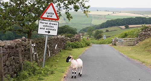 Ein Bild, an das Sie sich in Ihrem England-Urlaub gewöhnen werden