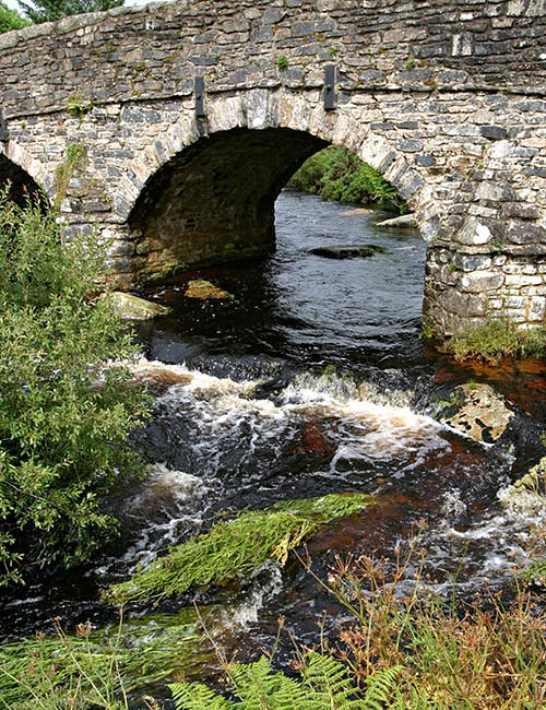 Wanderung im Dartmoor - Mit der Fähre nach Grossbritannien reisen