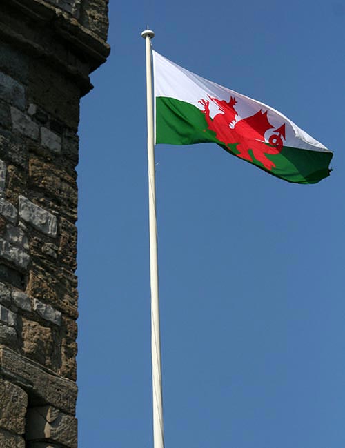 St. David's Day - B&B oder Pension in England oder Südengland buchen