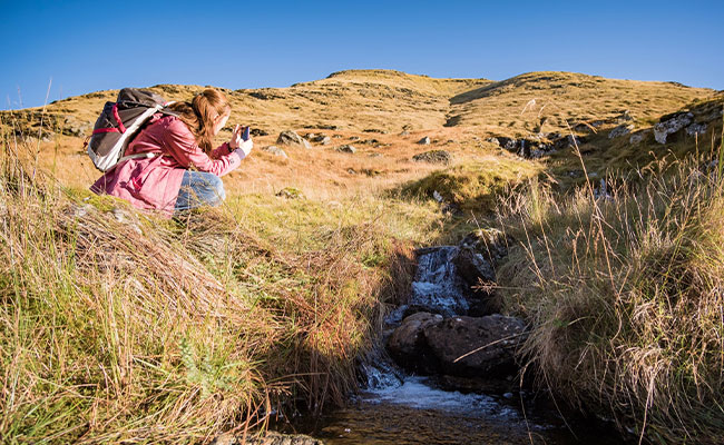Nehmen Sie sich Zeit, um Englands Natur in sich aufzusaugen.
