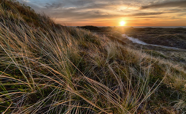 Genießen Sie den einzigartigen Anblick vom Sonnenuntergang in Dartmoor.