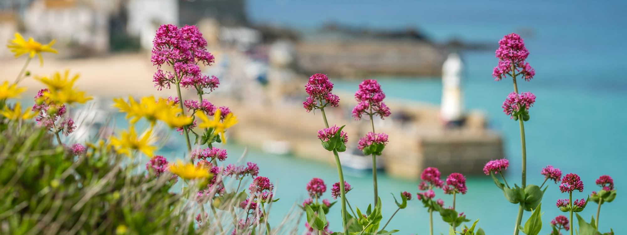 St. Ives