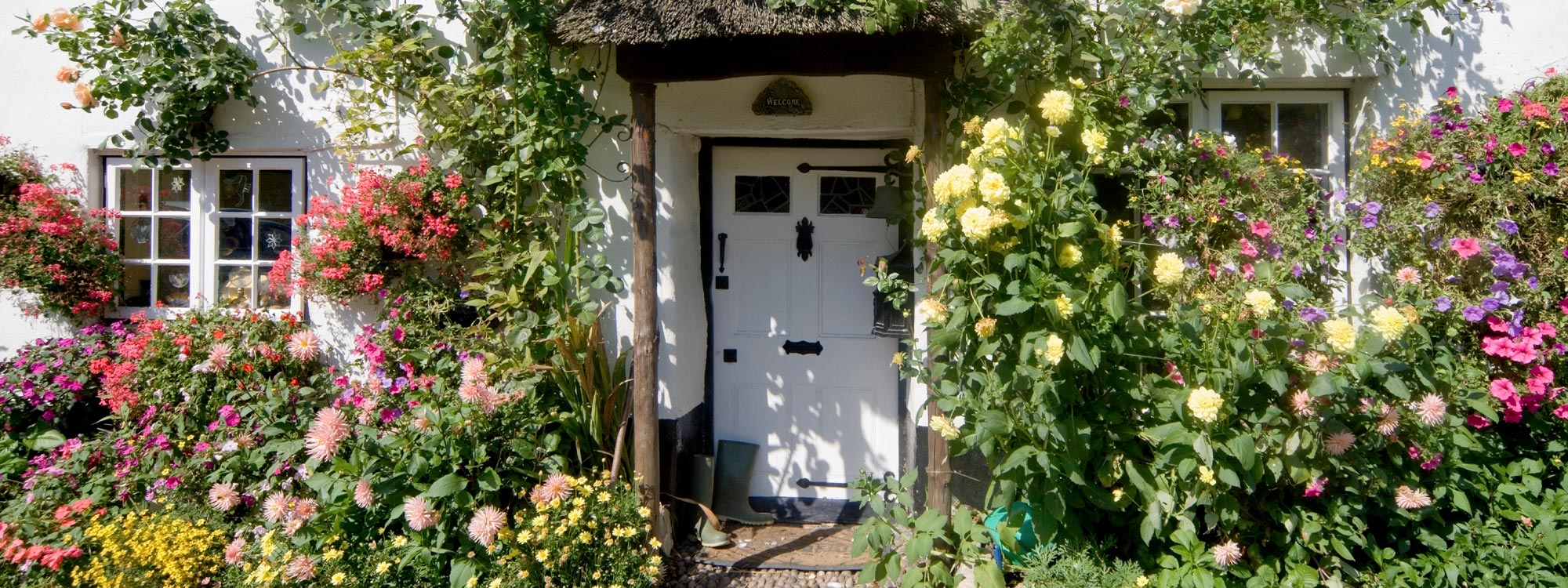 Ferienhaus Devon
