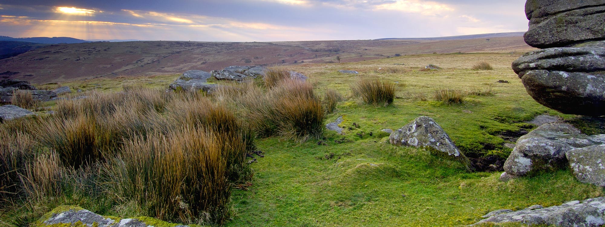 Wanderung in Dartmoor