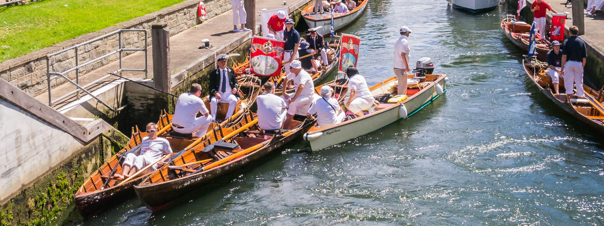 Swan upping