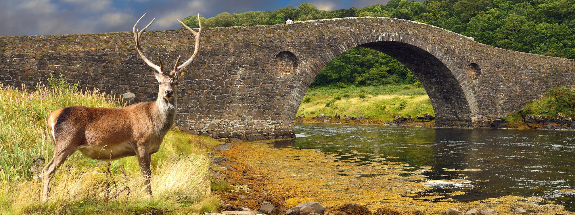 Halbinsel Kintyre & Bute