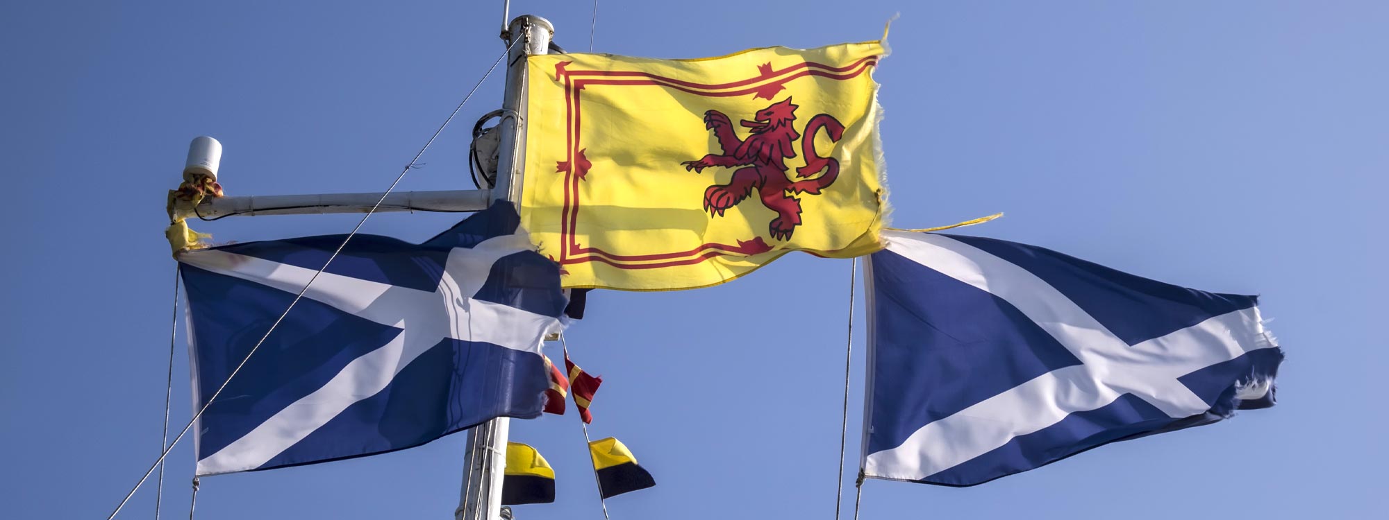 Weiß auf Blau: Die Schottland-Flagge