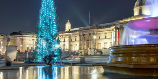 Christmas Tree Lighting Ceremony