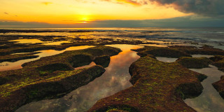 Doggerland - Großbritanniens Steinzeitparadies