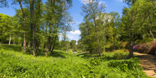 Urlaub in der Grafschaft Surrey