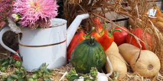 Das Harvest Festival