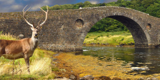Halbinsel Kintyre und Bute