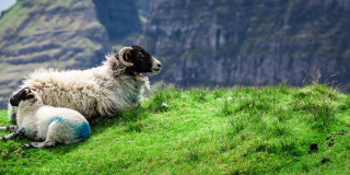 Quiraing und die Isle of Skye in Schottland