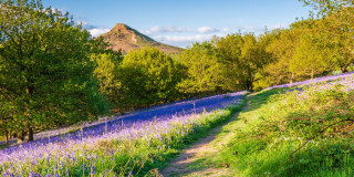 Roseberry Topping - Die Vielfalt von Englands Bergwelt!