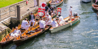 Swan upping