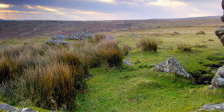 Wanderung im Dartmoor