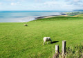 Ceredigion und Powys