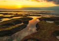 Doggerland - Großbritanniens Steinzeitparadies