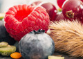 Gesunde Ernährung - wichtig für den England Urlaub