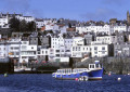 Guernsey: blühende Insel voller Wunder