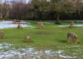 Der geheimnisvolle Steinkreis Nine Ladies Stone Circle