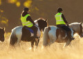 Reiten in Schottland