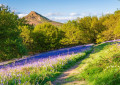 Roseberry Topping - Die Vielfalt von Englands Bergwelt!