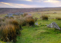 Wanderung im Dartmoor