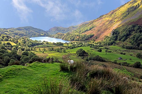 Im Norden von Wales lockt eine magische Bergwelt. Im Norden von Wales lockt eine magische Bergwelt.