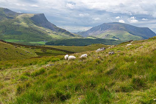 Wales bezaubert mit einer atemberaubenden Landschaft.